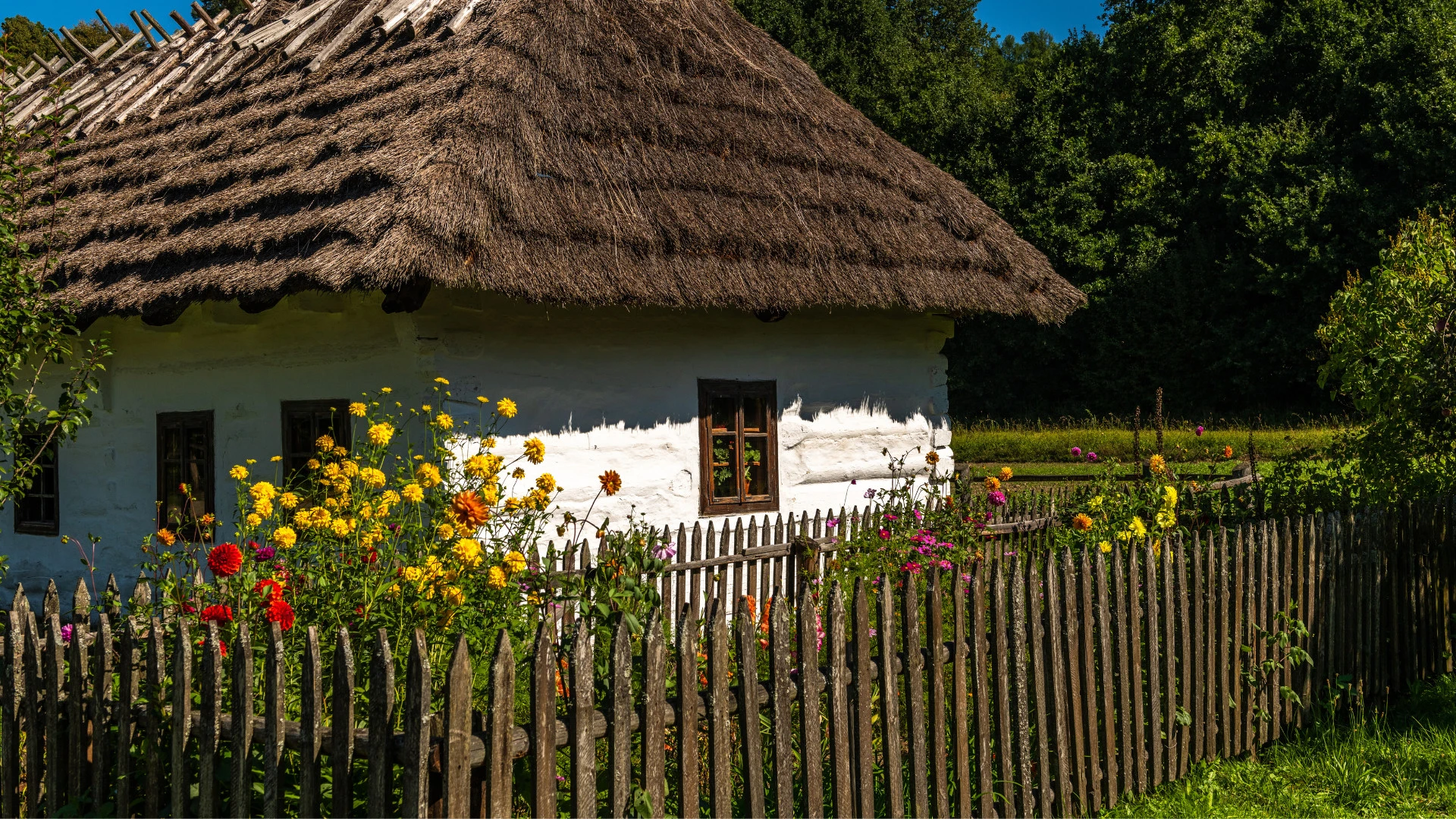 fot. Canva / zdjęcie poglądowe