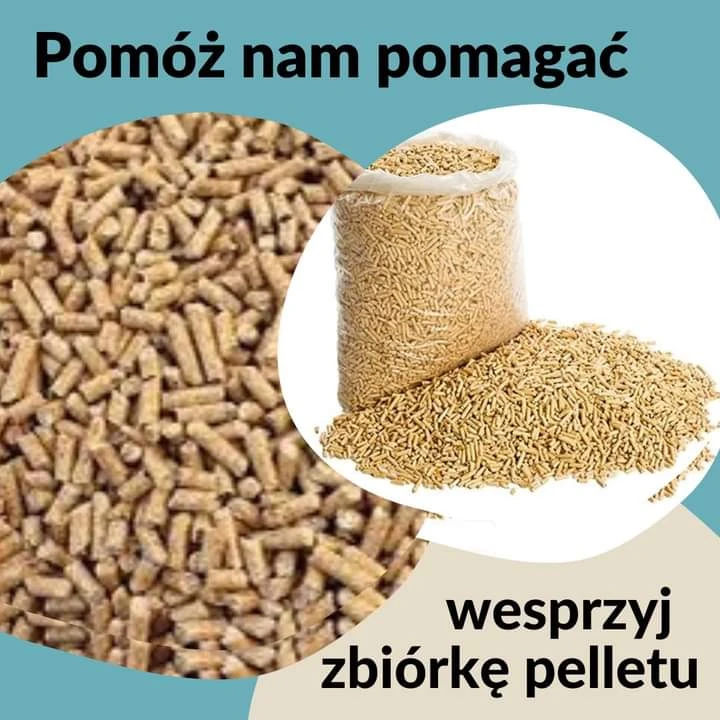 Fot. OTOZ Animals Schronisko w Tczewie 