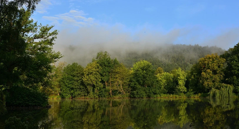 Zdjęcie poglądowe, Pixabay