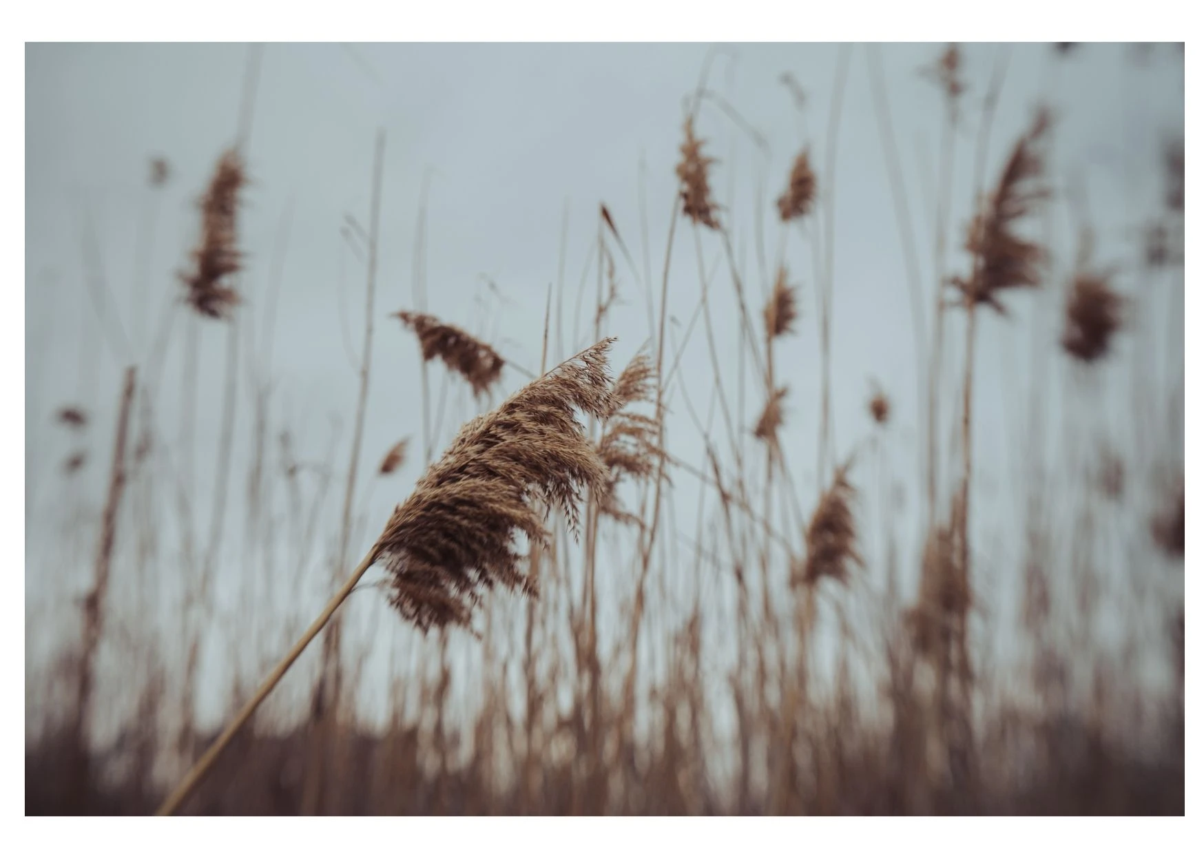 Fot. Canva 