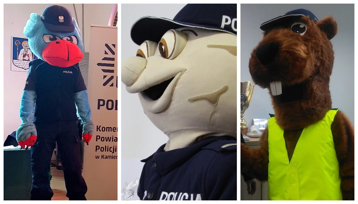 źródło: policja