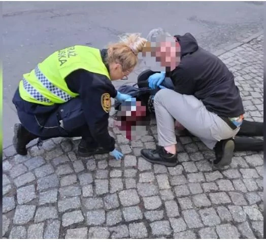 fot. Straż Miejska w Gdańsku 