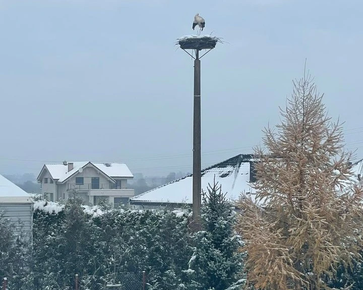 fot. Czytelnik