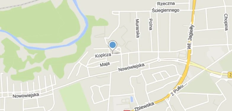 Google Maps