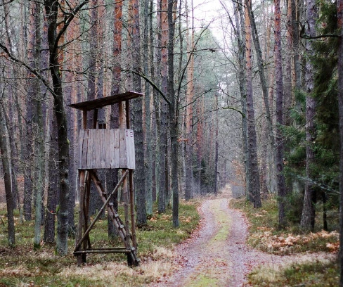 Zdjęcie poglądowe, Pixabay