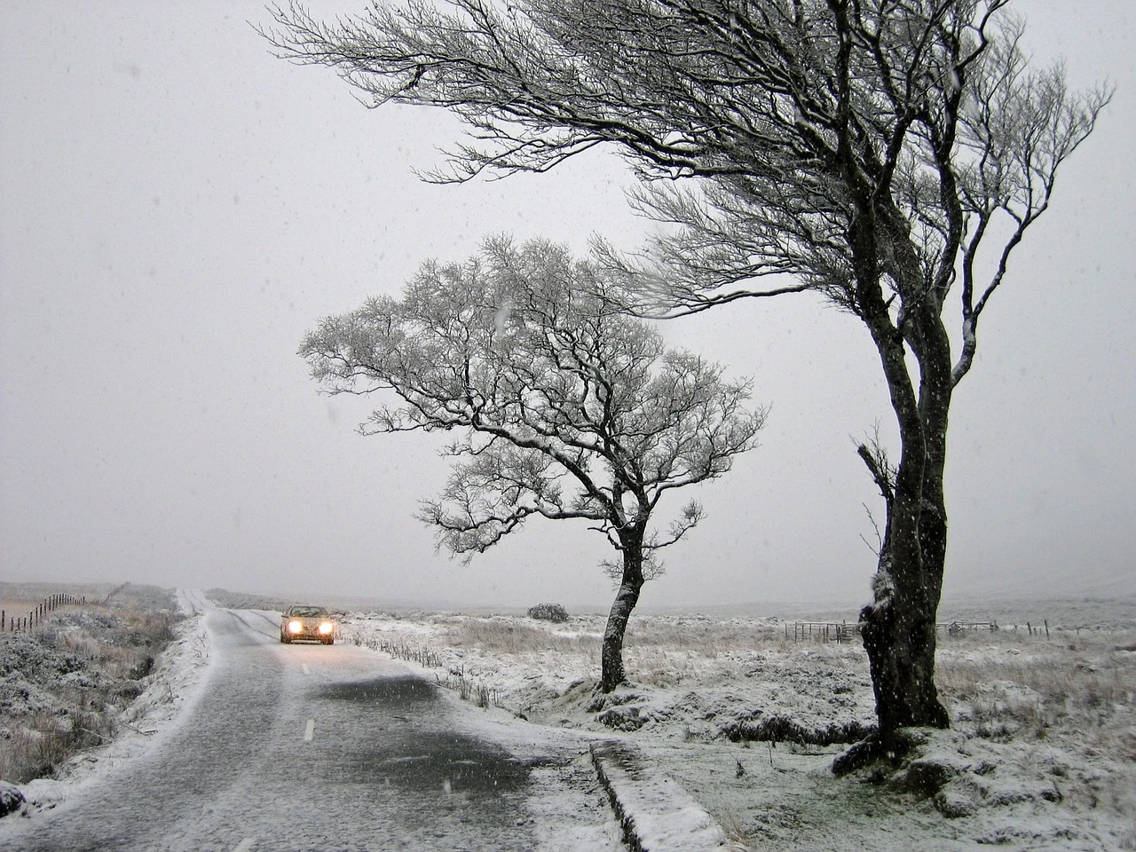 Fot. Pixabay.pl