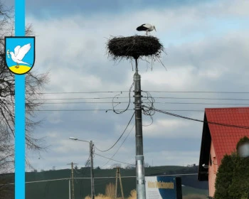 gniew.pl
