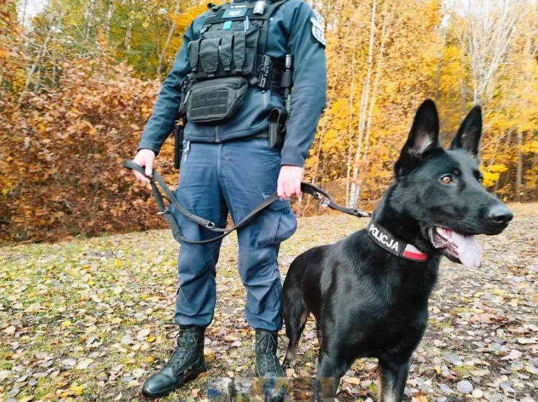 Zdjęcie: kPP w Starogardzie