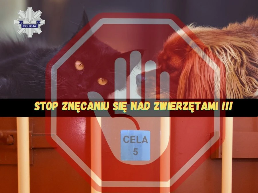Fot. KPP w Starogardzie Gdańskim 