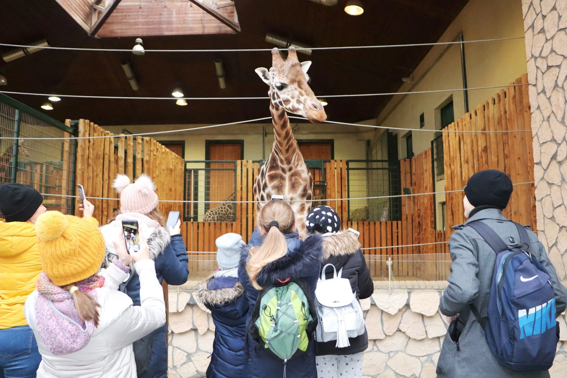 Źródło: Gdański Ogród Zoologiczny/Facebook