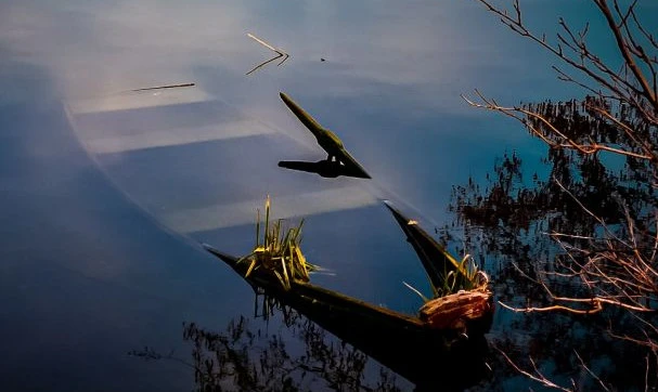 Autor: Sylwester Dawid
