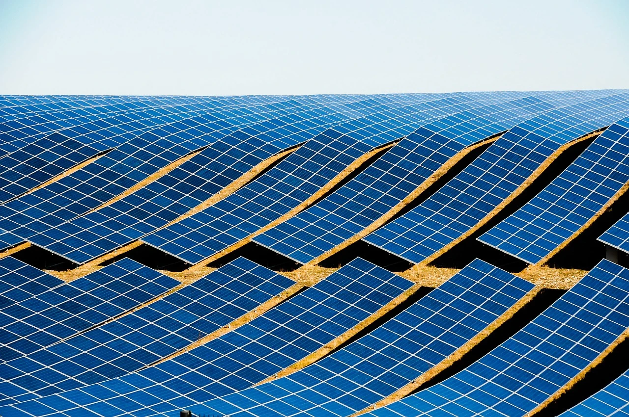 Fot. Materiał partnera