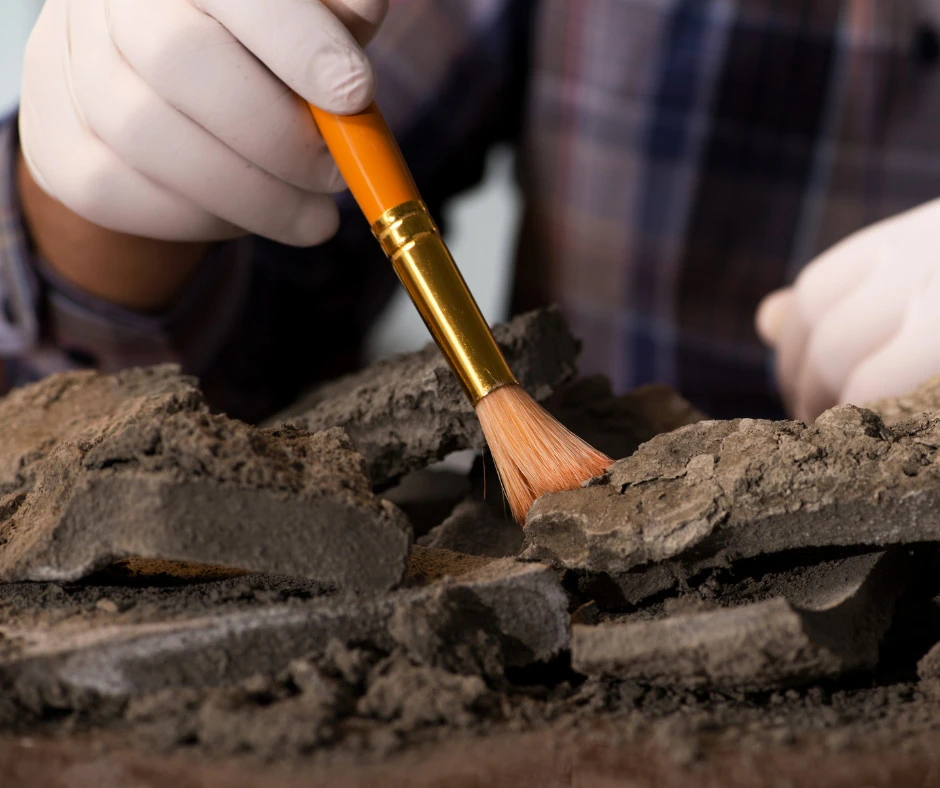 fot. Canva / zdjęcie poglądowe. W Fabryce Sztuk odbędą się warsztaty związane z archeologią