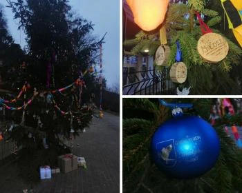 źródło: gniew.pl