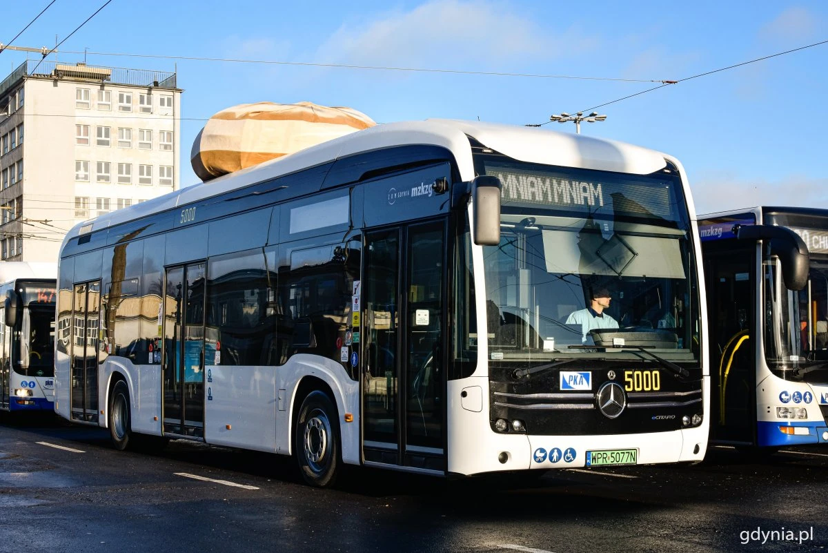 Źródło:gdynia.pl