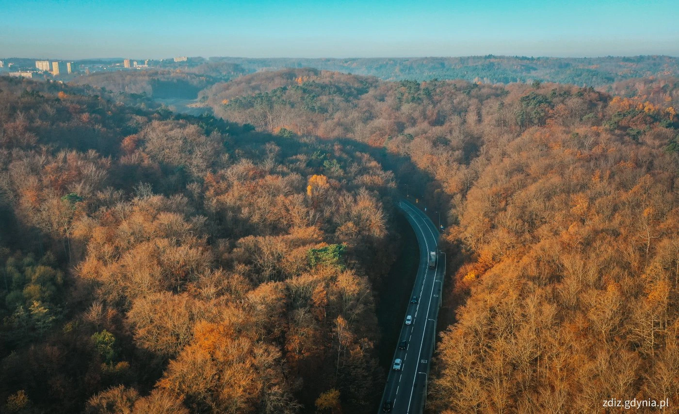 mat. ZDiZ Gdynia, fot. Marcin Mielewski