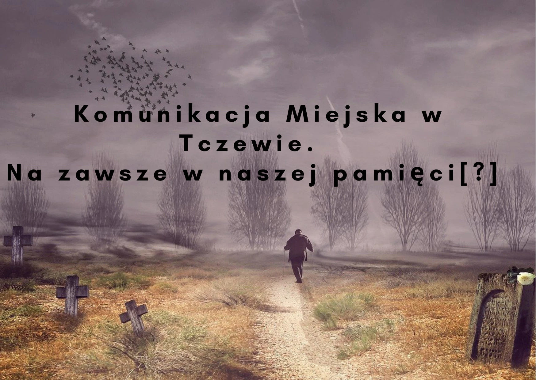 Fot. MW 