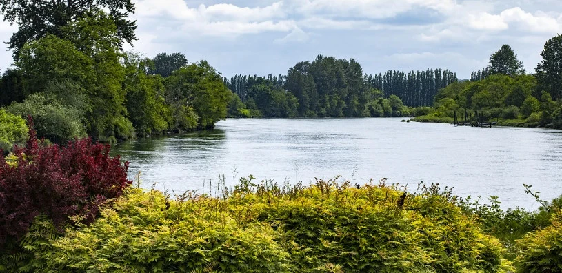 Zdjęcie poglądowe, Pixabay