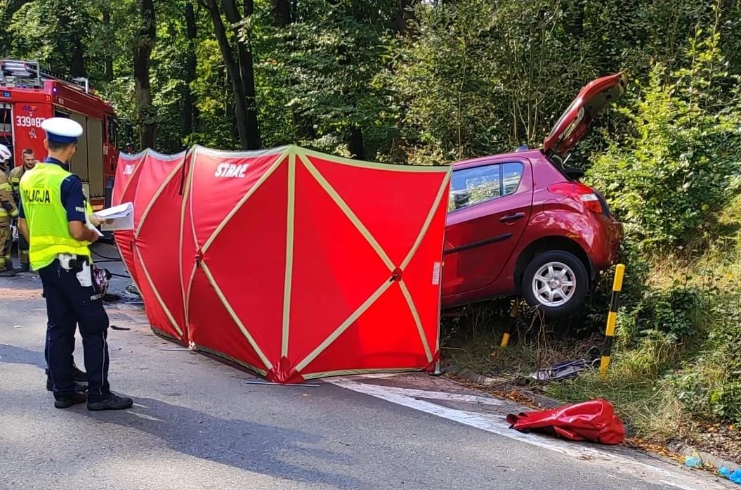 fot. KPP w Pruszczu Gdańskim 