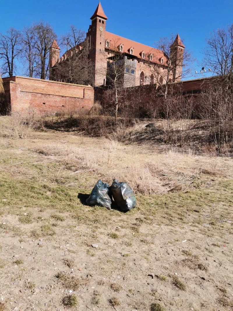 gniew.pl