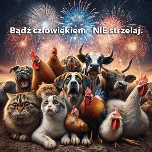 Fot. facebook.