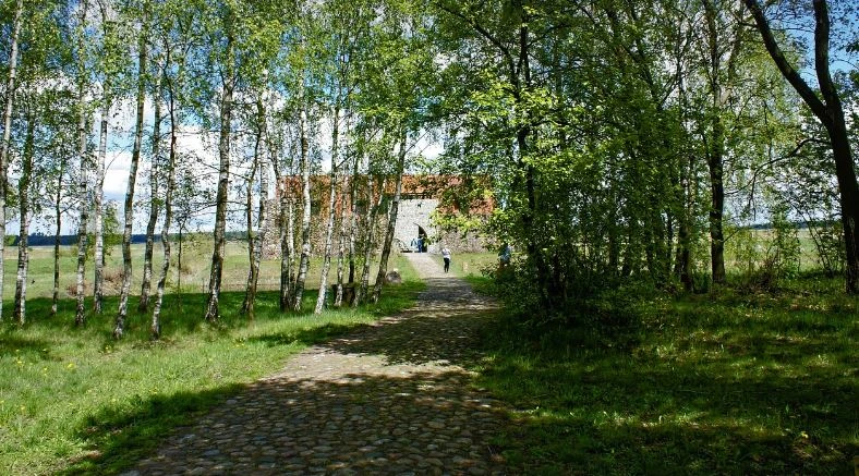 Zdjęcie poglądowe, Pixabay