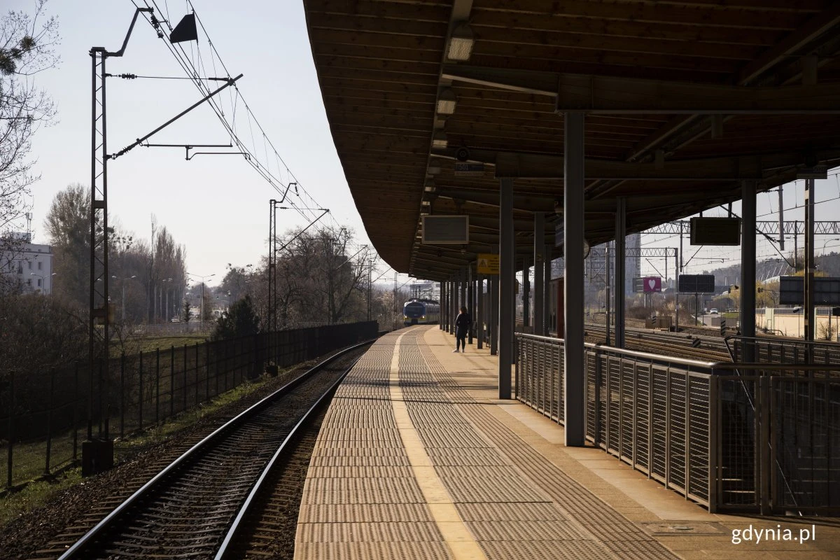 źródło: UM Gdynia